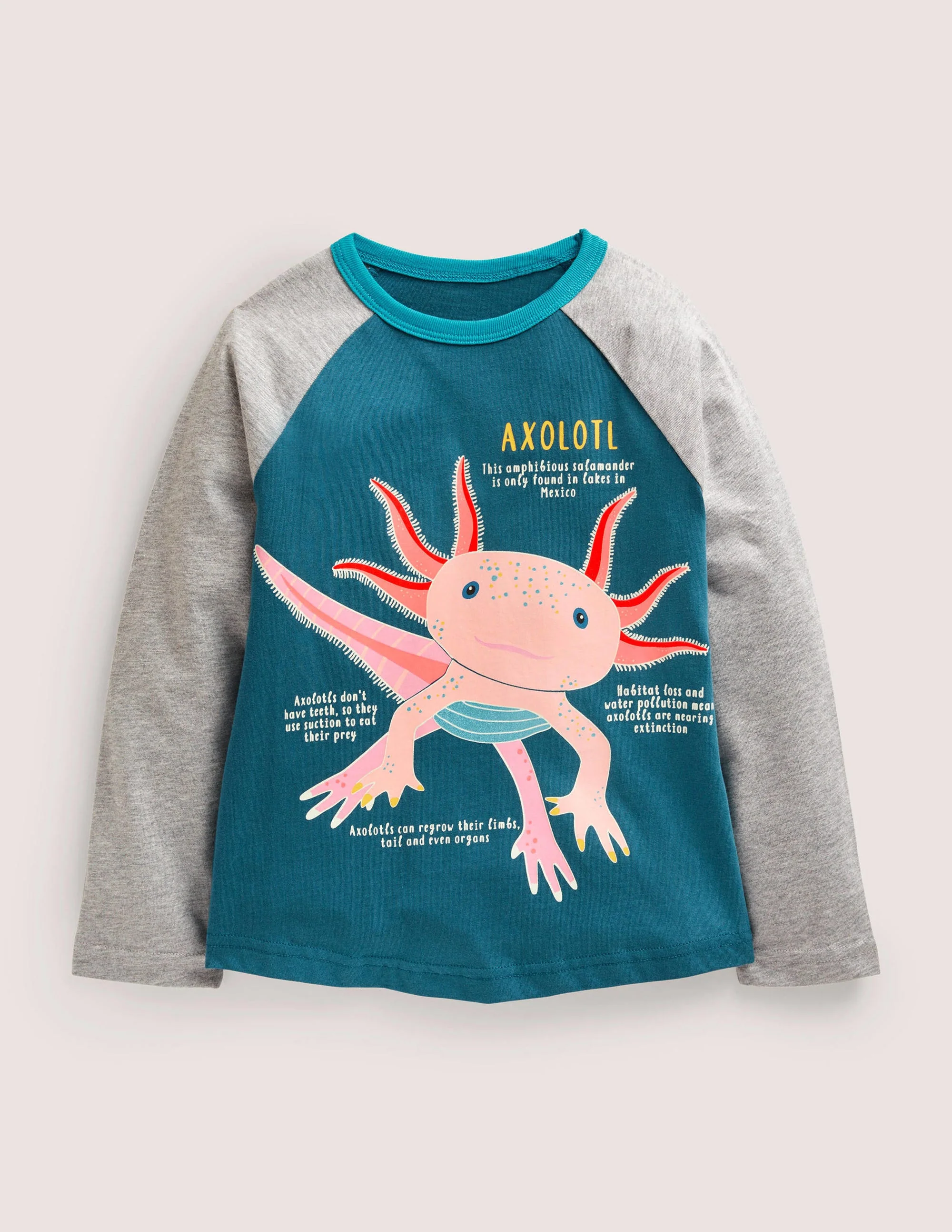 Educational GITD Logo T-shirt-Grey Marl and New Bright Blue