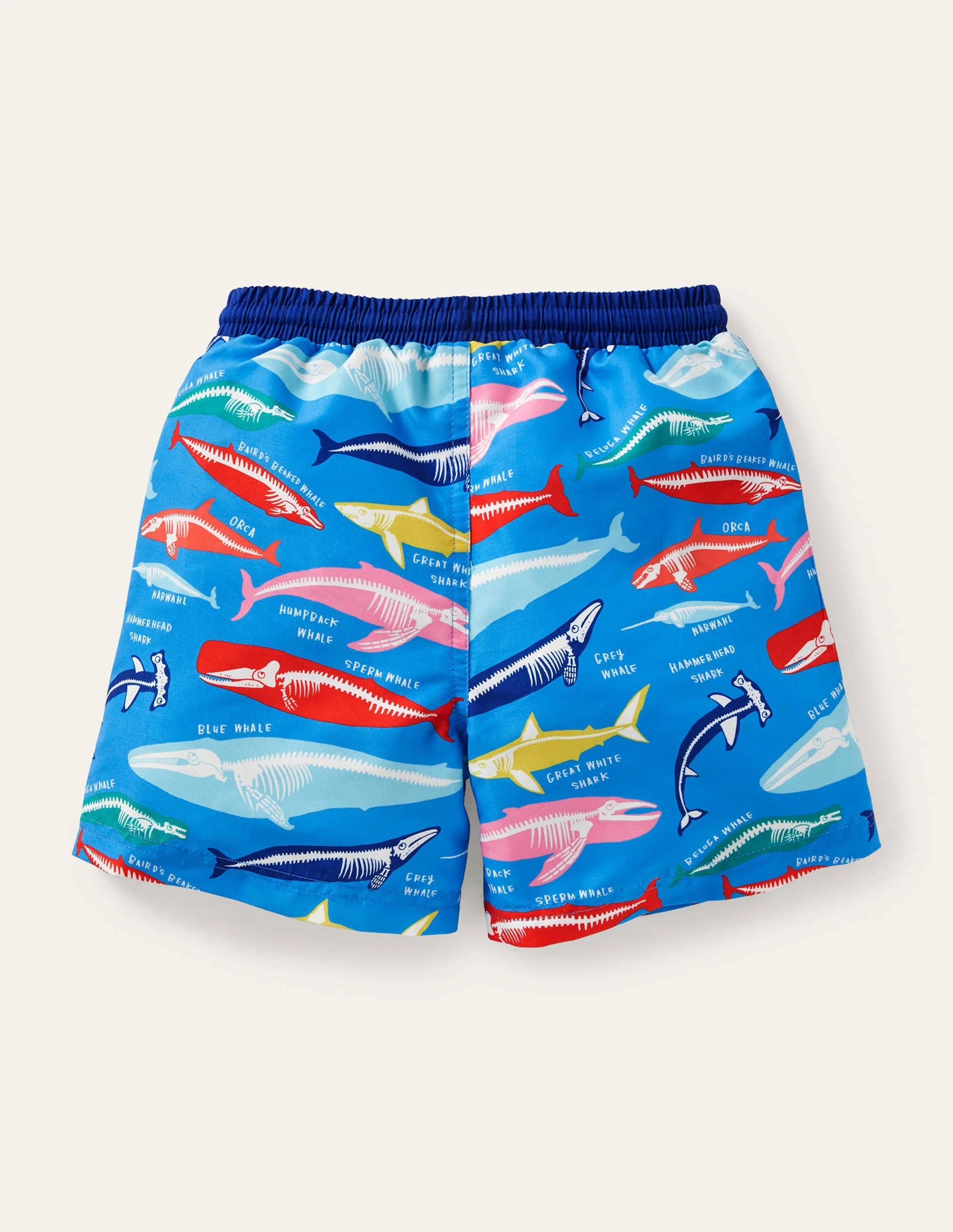 Swim Trunks-Malibu Blue, Whale Bones - Image 2