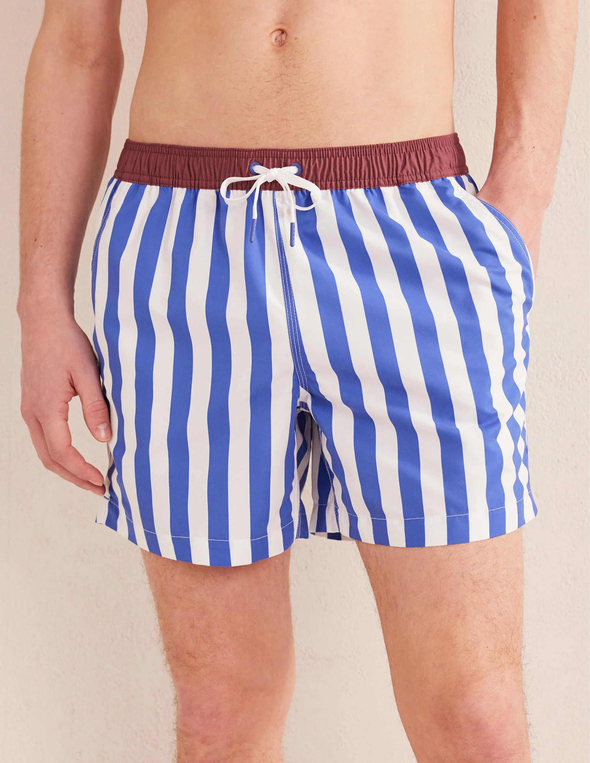 Elasticated Waist Swim Short-Blue Heron and White Stripe - Image 4