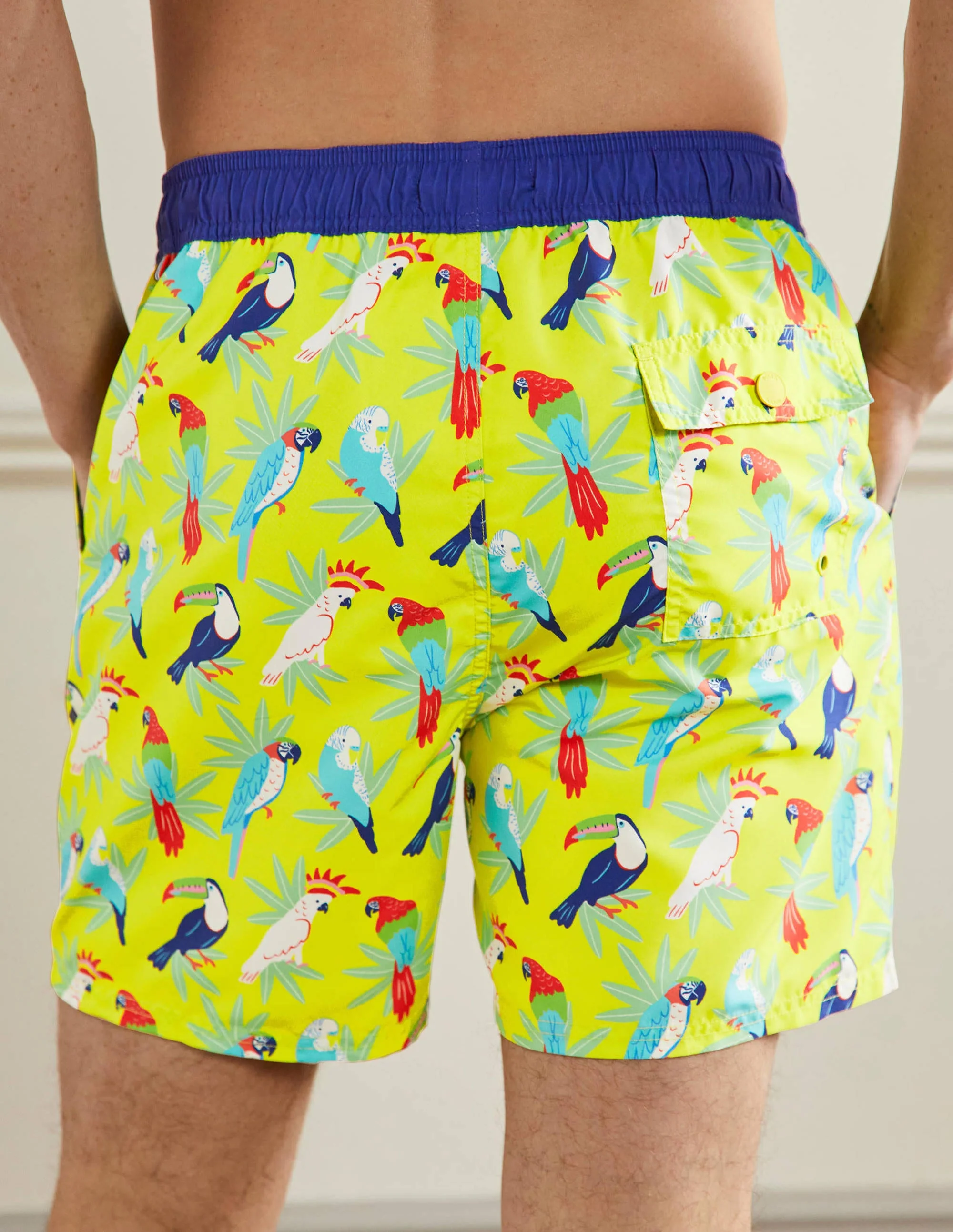 Swimshorts-Yellow, Tropical Toucans - Image 3